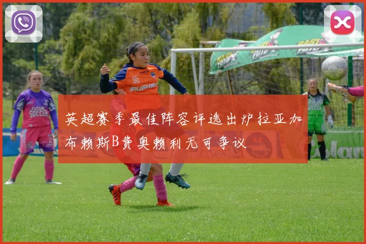 英超赛季最佳阵容评选出炉拉亚加布赖斯B费奥赖利无可争议